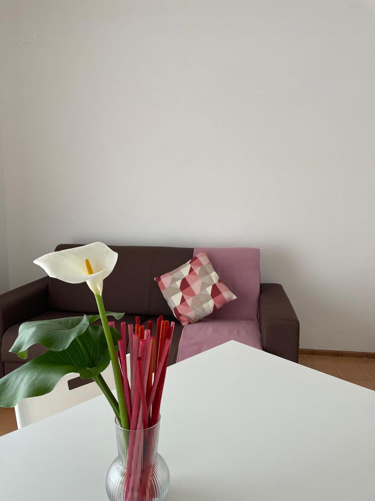 Tizi Apartments Porto 마이오리 외부 사진